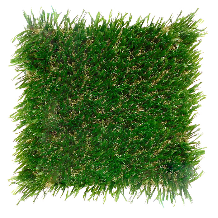 SportsGrass Rush