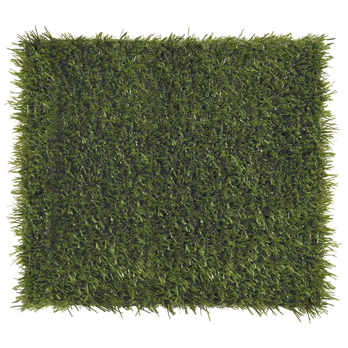 SportsGrass Trainer