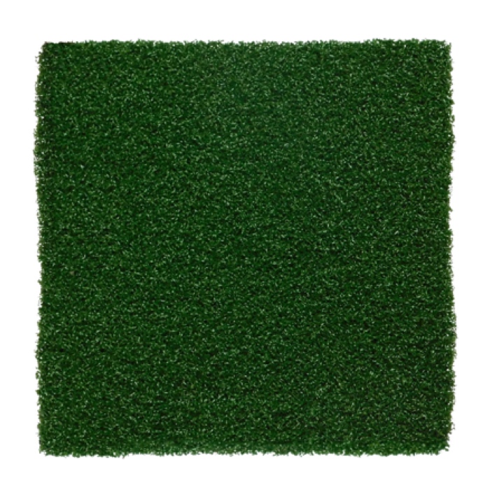 SportsGrass Agility