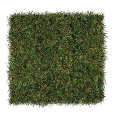 Select EL turf