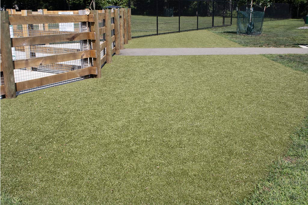 Dog park turf