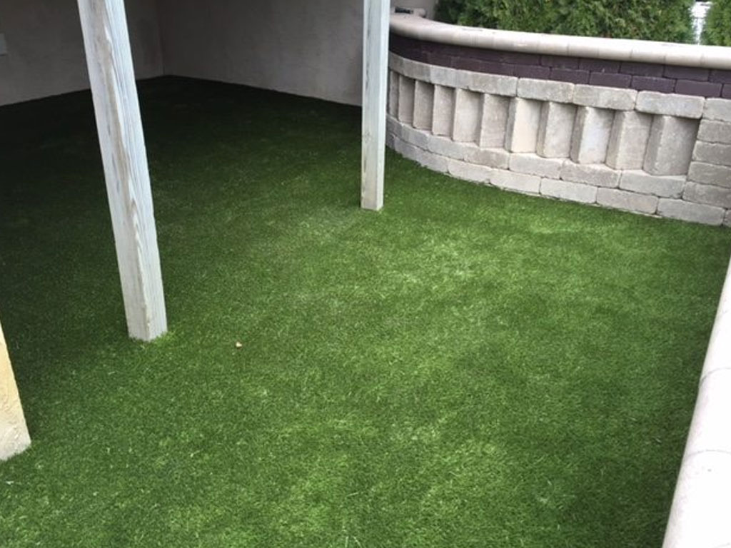 Residential K9Grass lawn