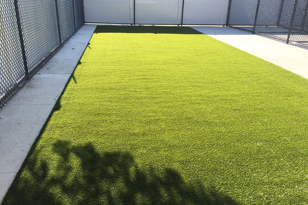 Petsuites - Image 4
