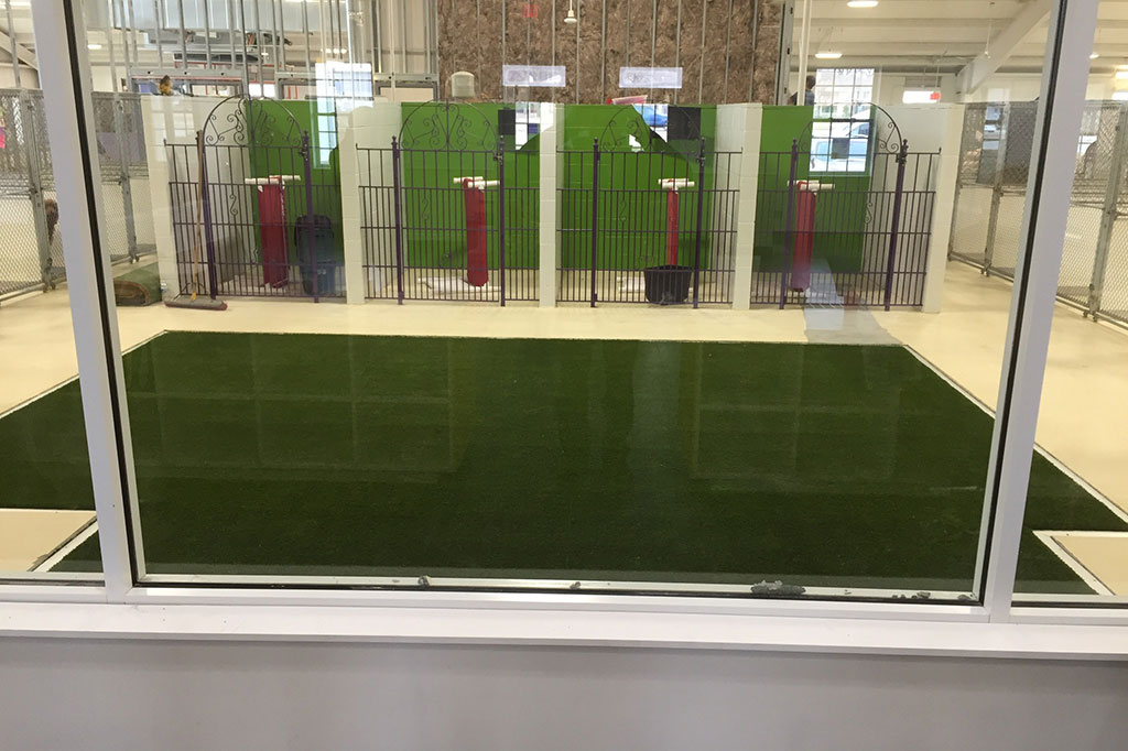 Petsuites - Image 6